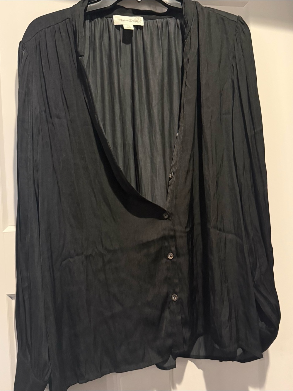 Treasure & Bond Black Pleated Button-Front Blouse